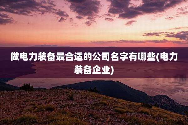做电力装备最合适的公司名字有哪些(电力装备企业)