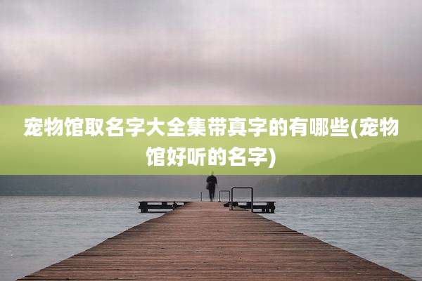 宠物馆取名字大全集带真字的有哪些(宠物馆好听的名字)