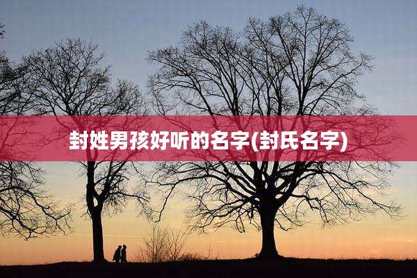 封姓男孩好听的名字(封氏名字)