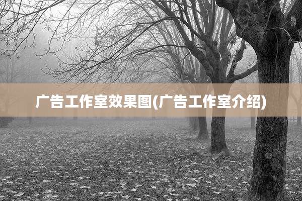 广告工作室效果图(广告工作室介绍)