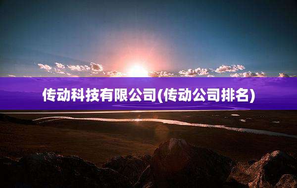 传动科技有限公司(传动公司排名)