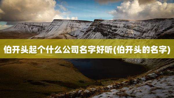 伯开头起个什么公司名字好听(伯开头的名字)
