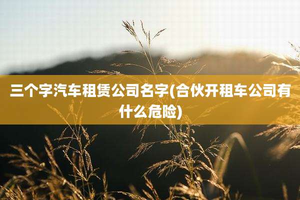 三个字汽车租赁公司名字(合伙开租车公司有什么危险)