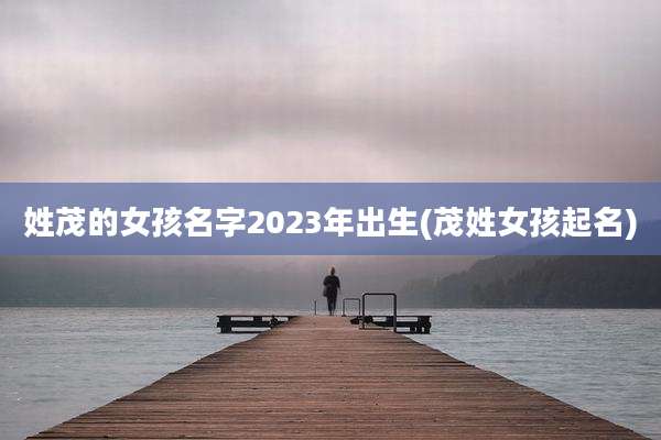 姓茂的女孩名字2023年出生(茂姓女孩起名)