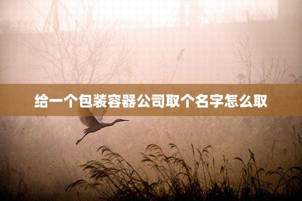 给一个包装容器公司取个名字怎么取