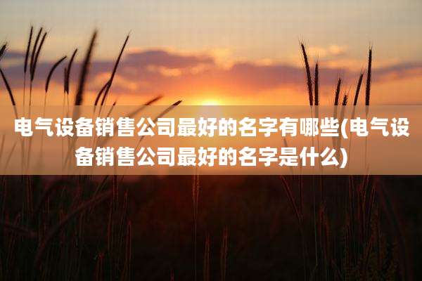 电气设备销售公司最好的名字有哪些(电气设备销售公司最好的名字是什么)