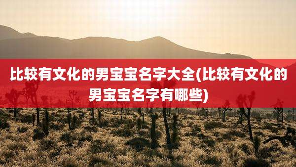 比较有文化的男宝宝名字大全(比较有文化的男宝宝名字有哪些)