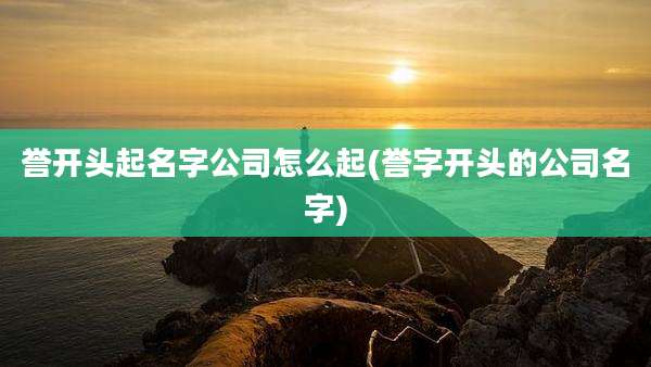 誉开头起名字公司怎么起(誉字开头的公司名字)