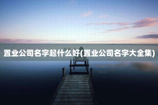 置业公司名字起什么好(置业公司名字大全集)
