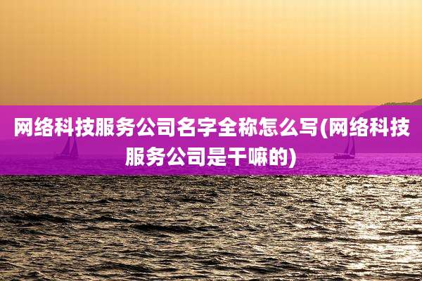 网络科技服务公司名字全称怎么写(网络科技服务公司是干嘛的)