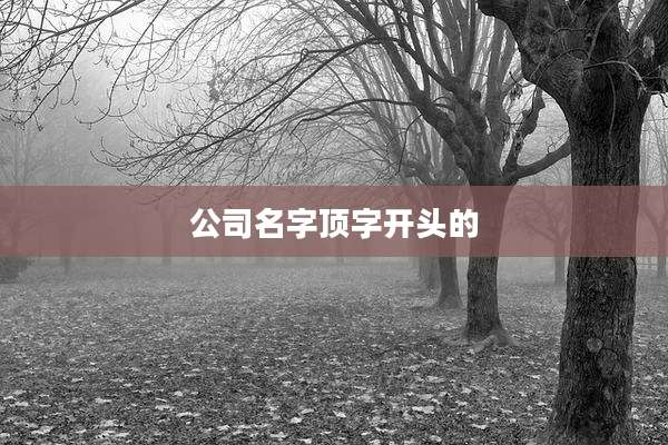 公司名字顶字开头的