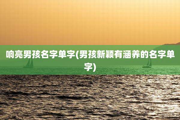 响亮男孩名字单字(男孩新颖有涵养的名字单字)