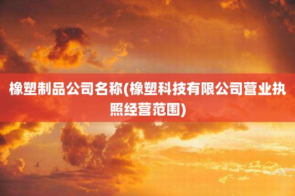 橡塑制品公司名称(橡塑科技有限公司营业执照经营范围)