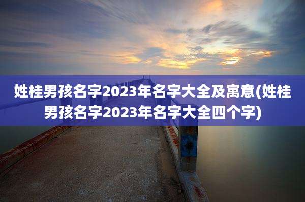 姓桂男孩名字2023年名字大全及寓意(姓桂男孩名字2023年名字大全四个字)