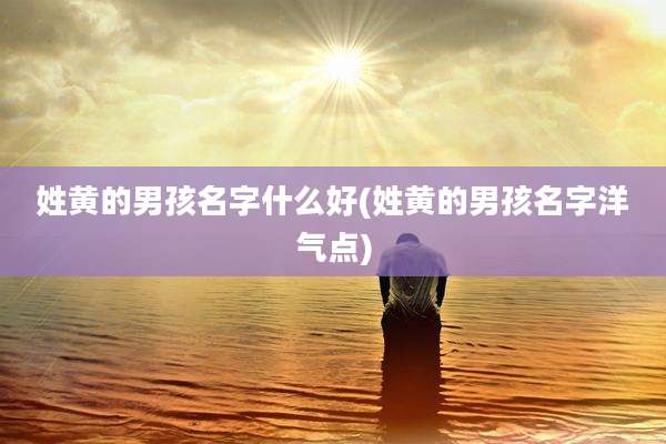 姓黄的男孩名字什么好(姓黄的男孩名字洋气点)