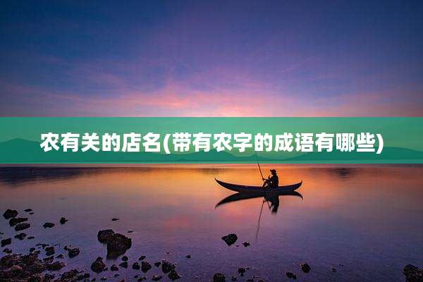 农有关的店名(带有农字的成语有哪些)