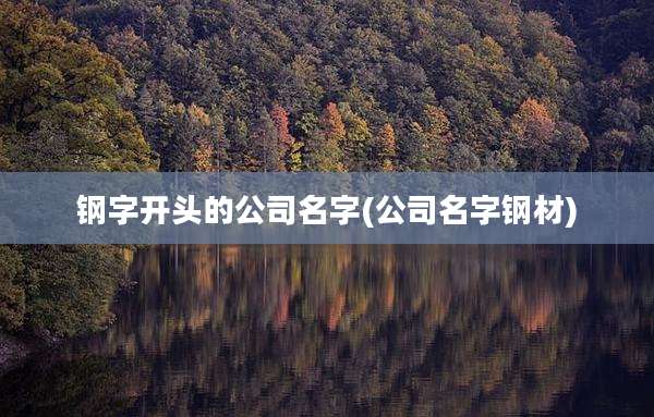 钢字开头的公司名字(公司名字钢材)