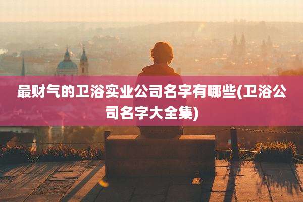 最财气的卫浴实业公司名字有哪些(卫浴公司名字大全集)