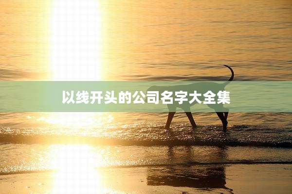 以线开头的公司名字大全集