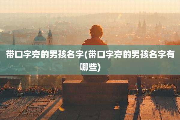 带口字旁的男孩名字(带口字旁的男孩名字有哪些)