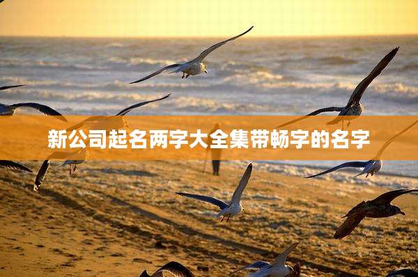 新公司起名两字大全集带畅字的名字