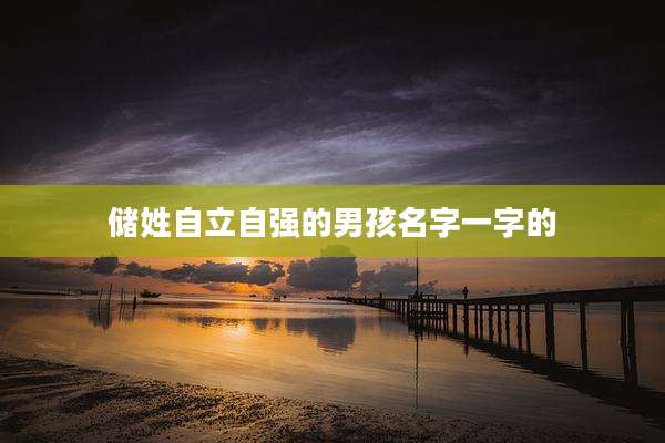 储姓自立自强的男孩名字一字的