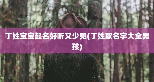 丁姓宝宝起名好听又少见(丁姓取名字大全男孩)