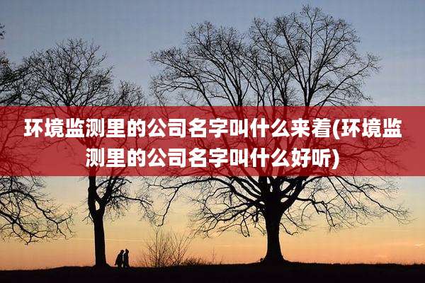 环境监测里的公司名字叫什么来着(环境监测里的公司名字叫什么好听)
