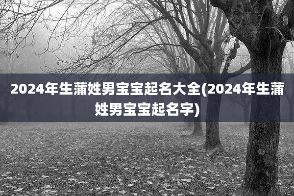 2024年生蒲姓男宝宝起名大全(2024年生蒲姓男宝宝起名字)