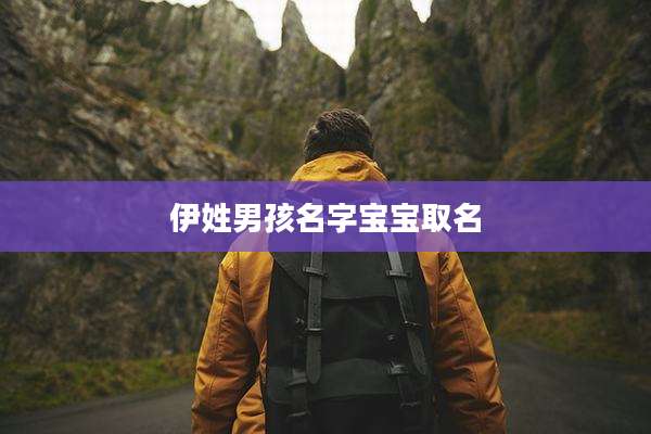伊姓男孩名字宝宝取名