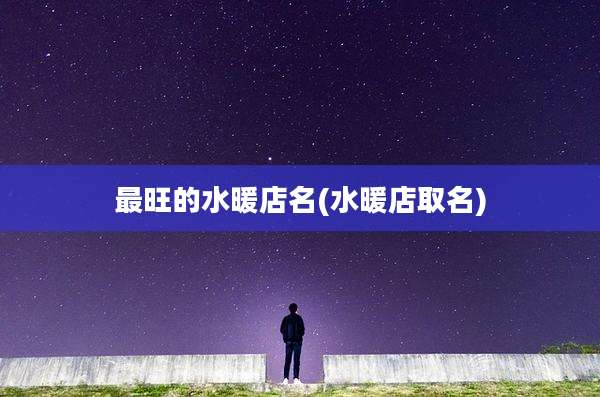 最旺的水暖店名(水暖店取名)