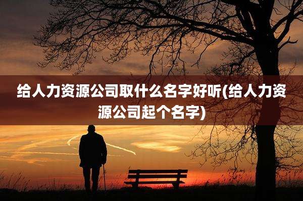给人力资源公司取什么名字好听(给人力资源公司起个名字)