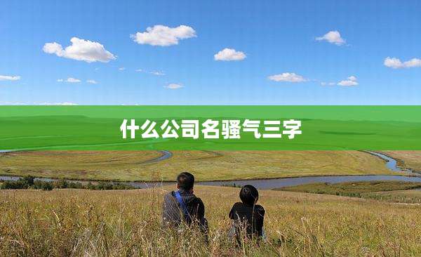 什么公司名骚气三字