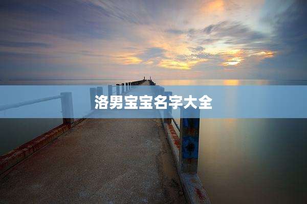 洛男宝宝名字大全
