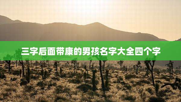 三字后面带康的男孩名字大全四个字