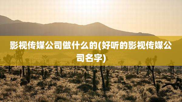 影视传媒公司做什么的(好听的影视传媒公司名字)