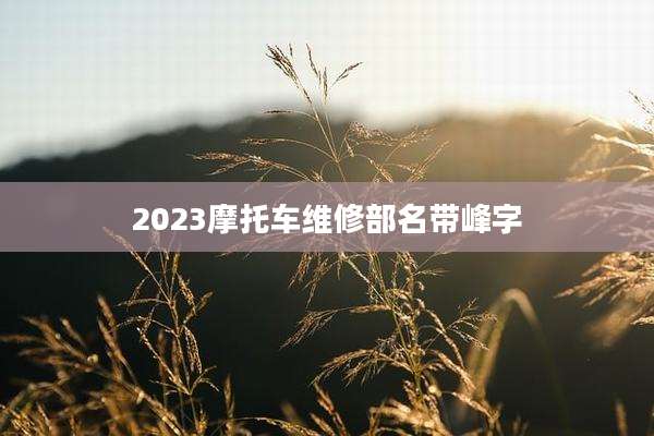 2023摩托车维修部名带峰字