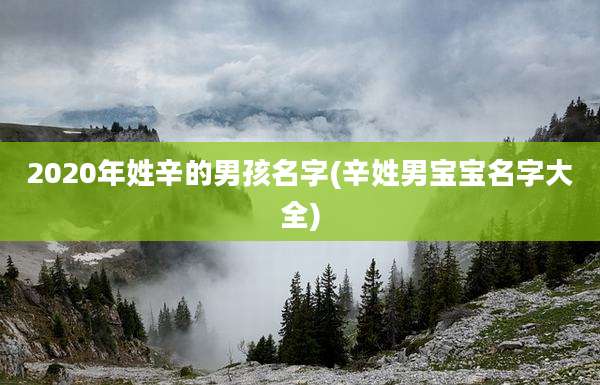 2020年姓辛的男孩名字(辛姓男宝宝名字大全)