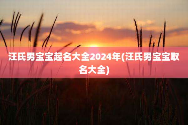 汪氏男宝宝起名大全2024年(汪氏男宝宝取名大全)