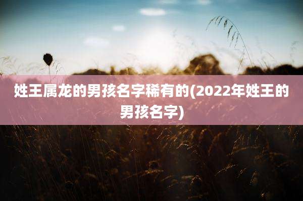 姓王属龙的男孩名字稀有的(2022年姓王的男孩名字)