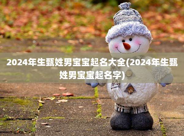 2024年生甄姓男宝宝起名大全(2024年生甄姓男宝宝起名字)