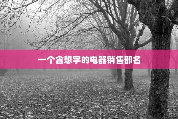 一个含想字的电器销售部名