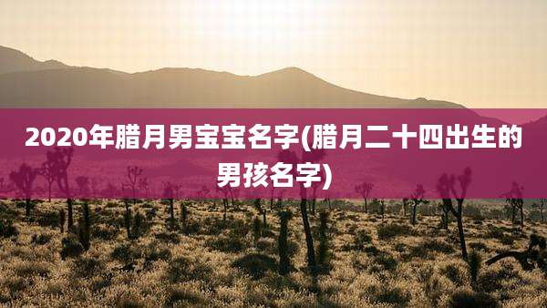 2020年腊月男宝宝名字(腊月二十四出生的男孩名字)