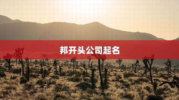 邦开头公司起名