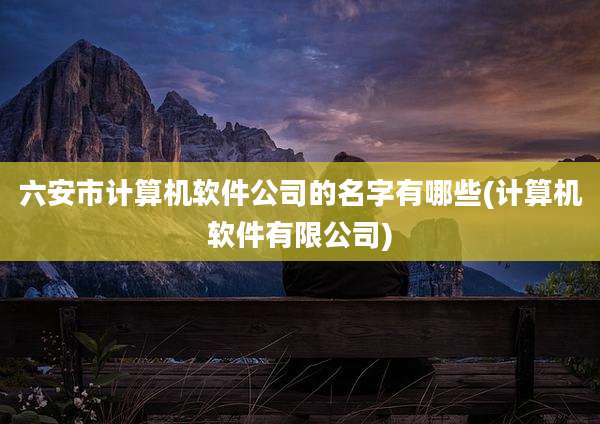 六安市计算机软件公司的名字有哪些(计算机软件有限公司)
