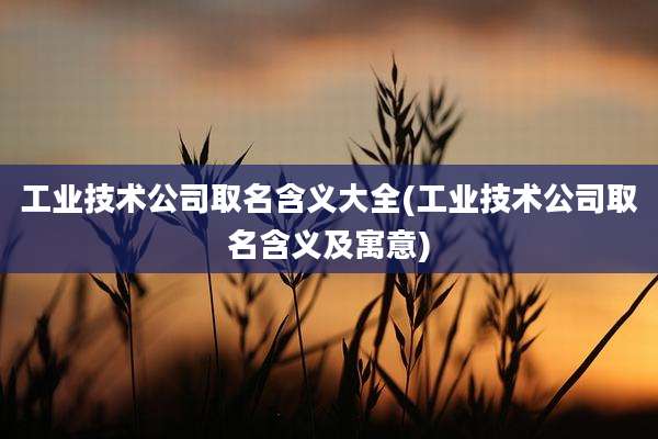工业技术公司取名含义大全(工业技术公司取名含义及寓意)