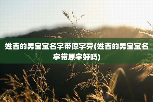 姓吉的男宝宝名字带原字旁(姓吉的男宝宝名字带原字好吗)