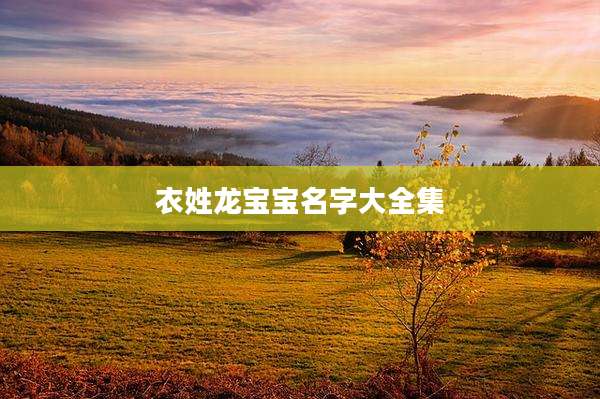 衣姓龙宝宝名字大全集