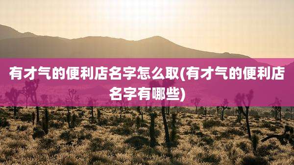有才气的便利店名字怎么取(有才气的便利店名字有哪些)