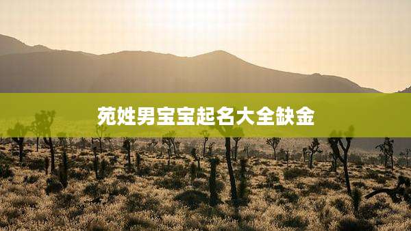 苑姓男宝宝起名大全缺金